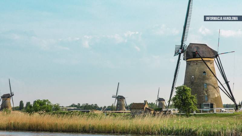 Holandia – podatek PIT za granicą