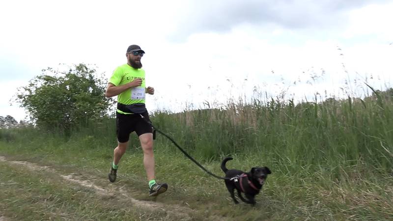 DOGTREKKING W CIEŚLACH