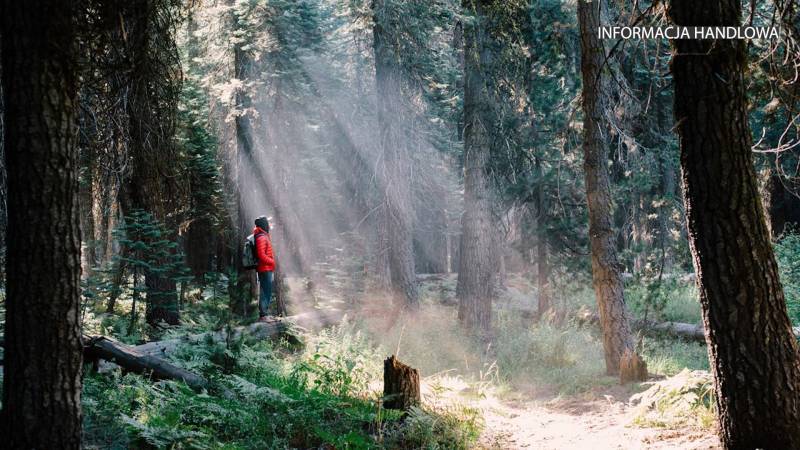 Geocaching – technologiczna zabawa w plenerze