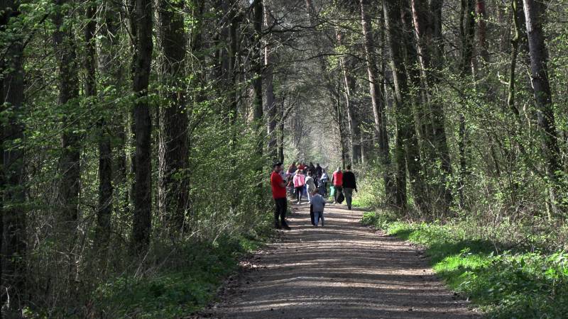 KULTOWE SPRZĄTANIE LASU TULECKIEGO