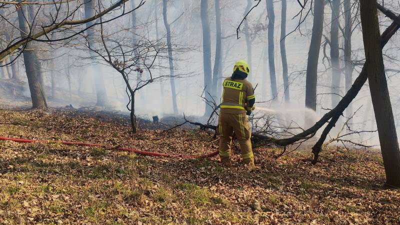 WIEŚCI OSP KOBYLNICA