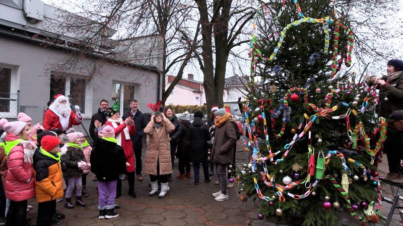 MIĘDZYPOKOLENIOWA CHOINKA